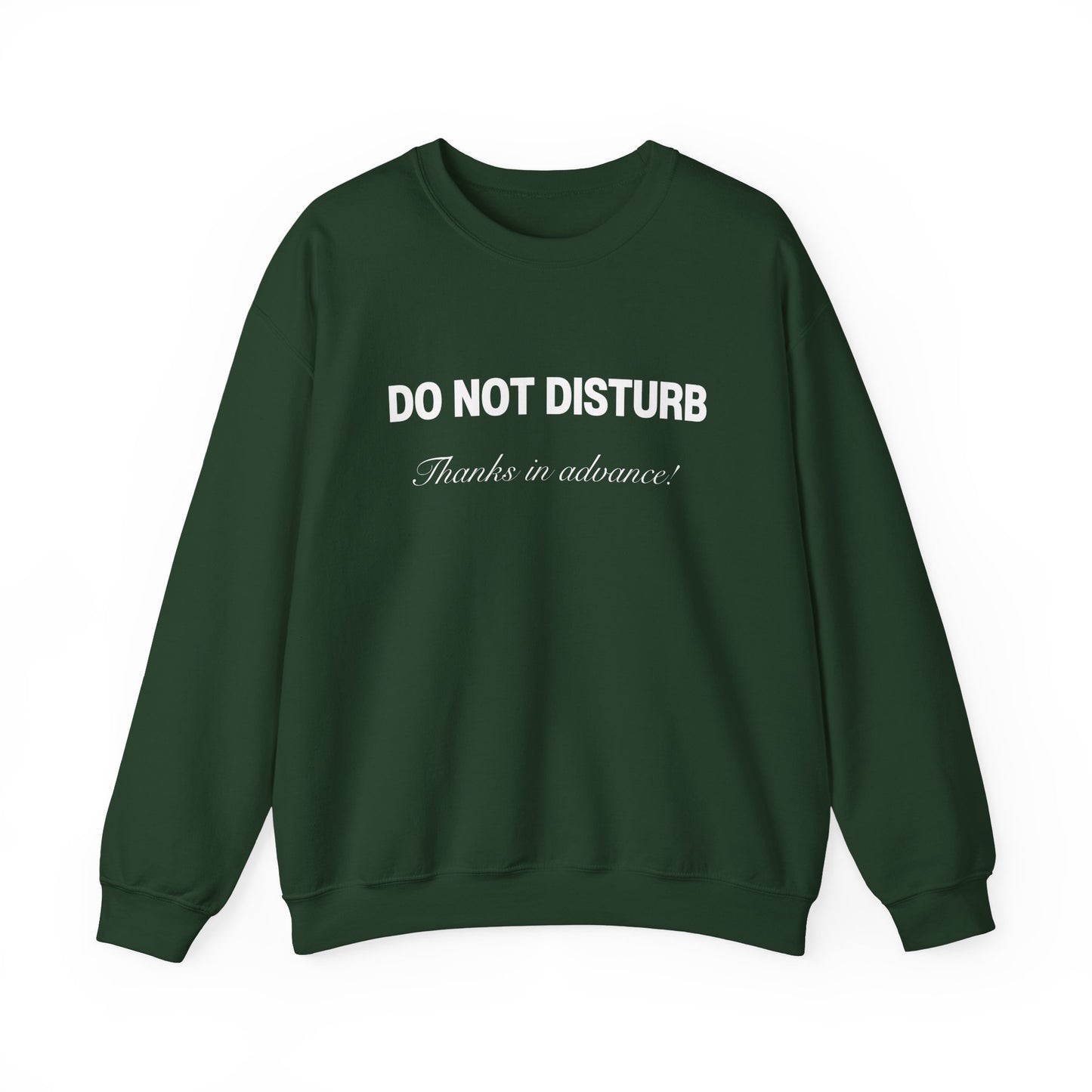 Cozy Girl "Do Not Disturb" Sweatshirt